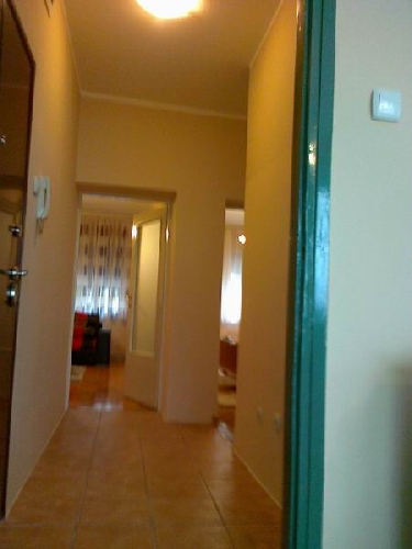 Sifra: 86586